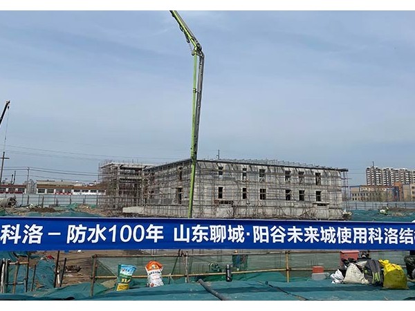 無機(jī)納米抗裂防滲劑應(yīng)用山東陽谷未來城