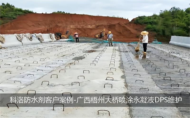 科洛防水劑客戶(hù)案例-廣西梧州大橋噴涂永凝液DPS維護(hù)